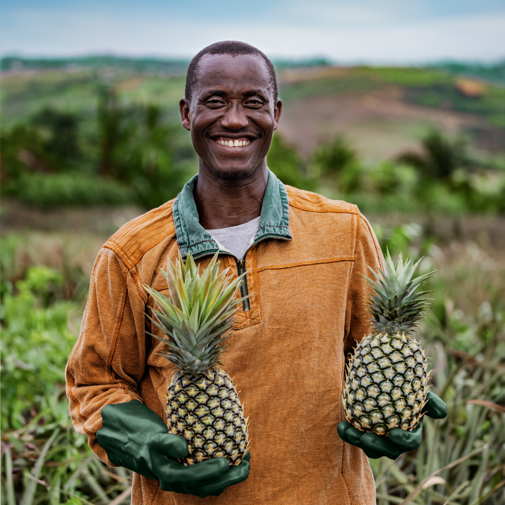seeberger-ananas-sans-sucres-ajout-s-ghana image 4