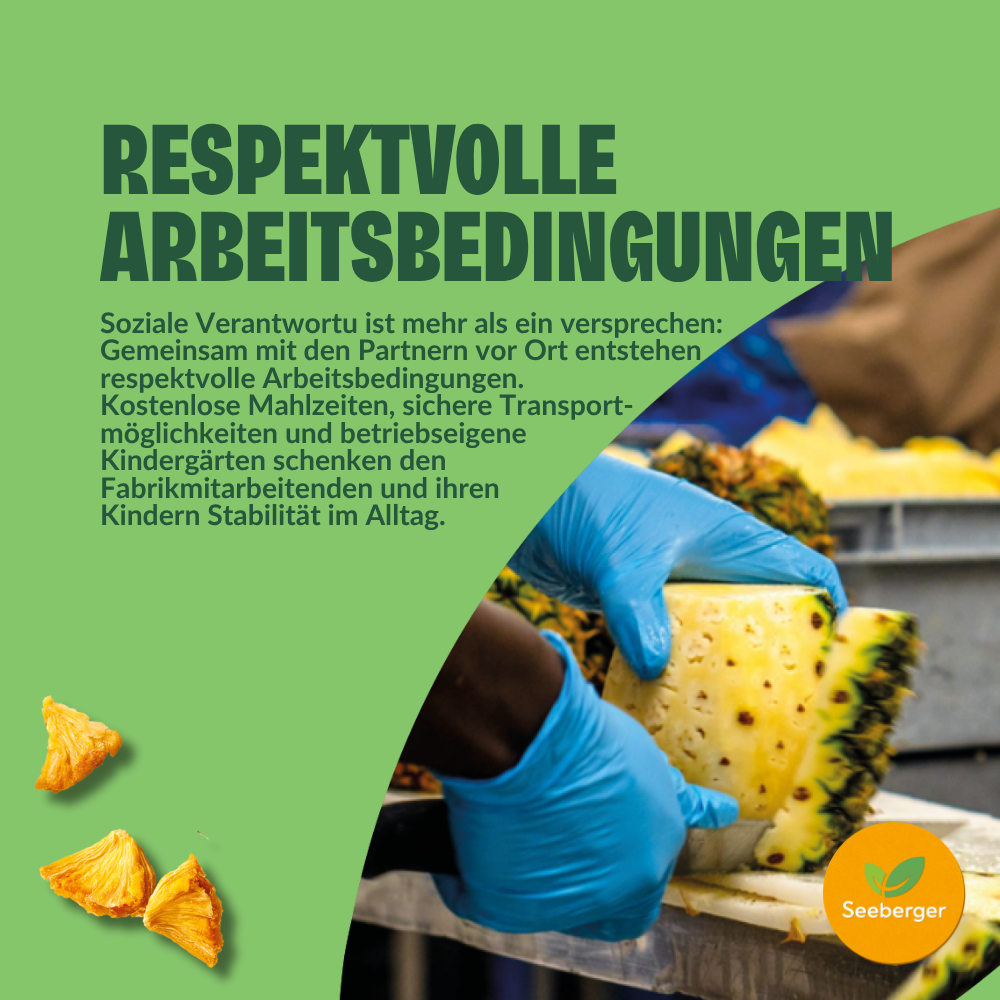 seeberger-ananas-s-ch-s-non-sucr-s-multipack-fruits-s-ch-s-tropical-6-x-100-g-fa image 6