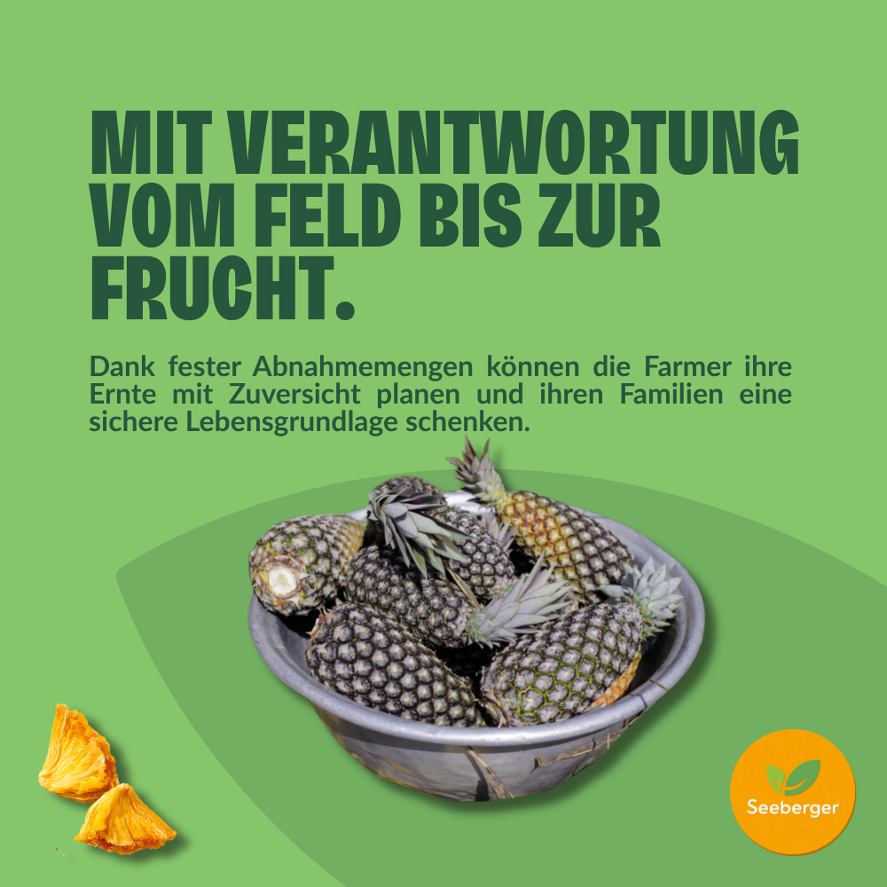 seeberger-ananas-s-ch-s-non-sucr-s-multipack-fruits-s-ch-s-tropical-6-x-100-g-fa image 5